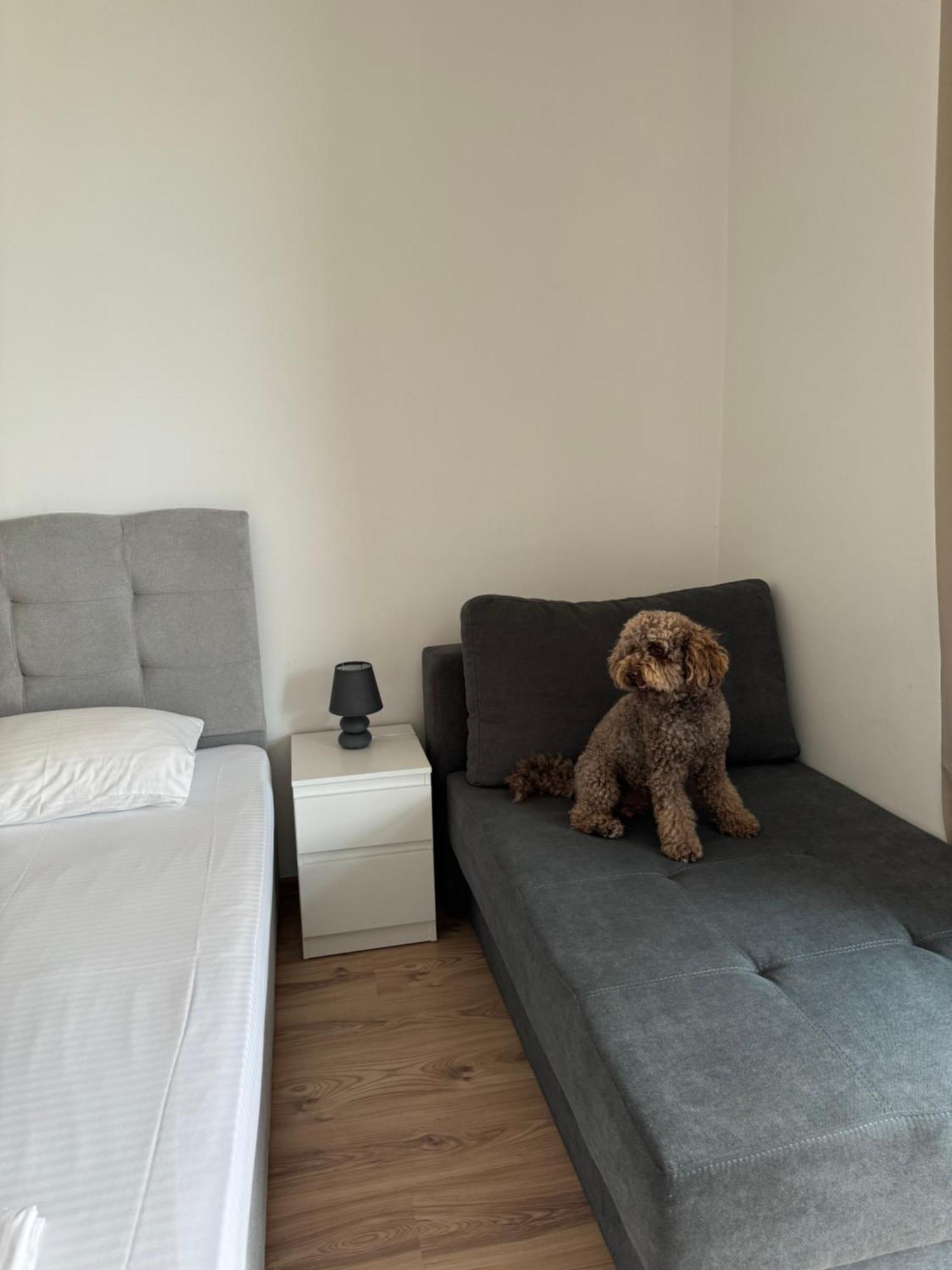 Апартаменти За Гости "Екатерина" Guest Apartments "Ekaterina" Burgas Extérieur photo