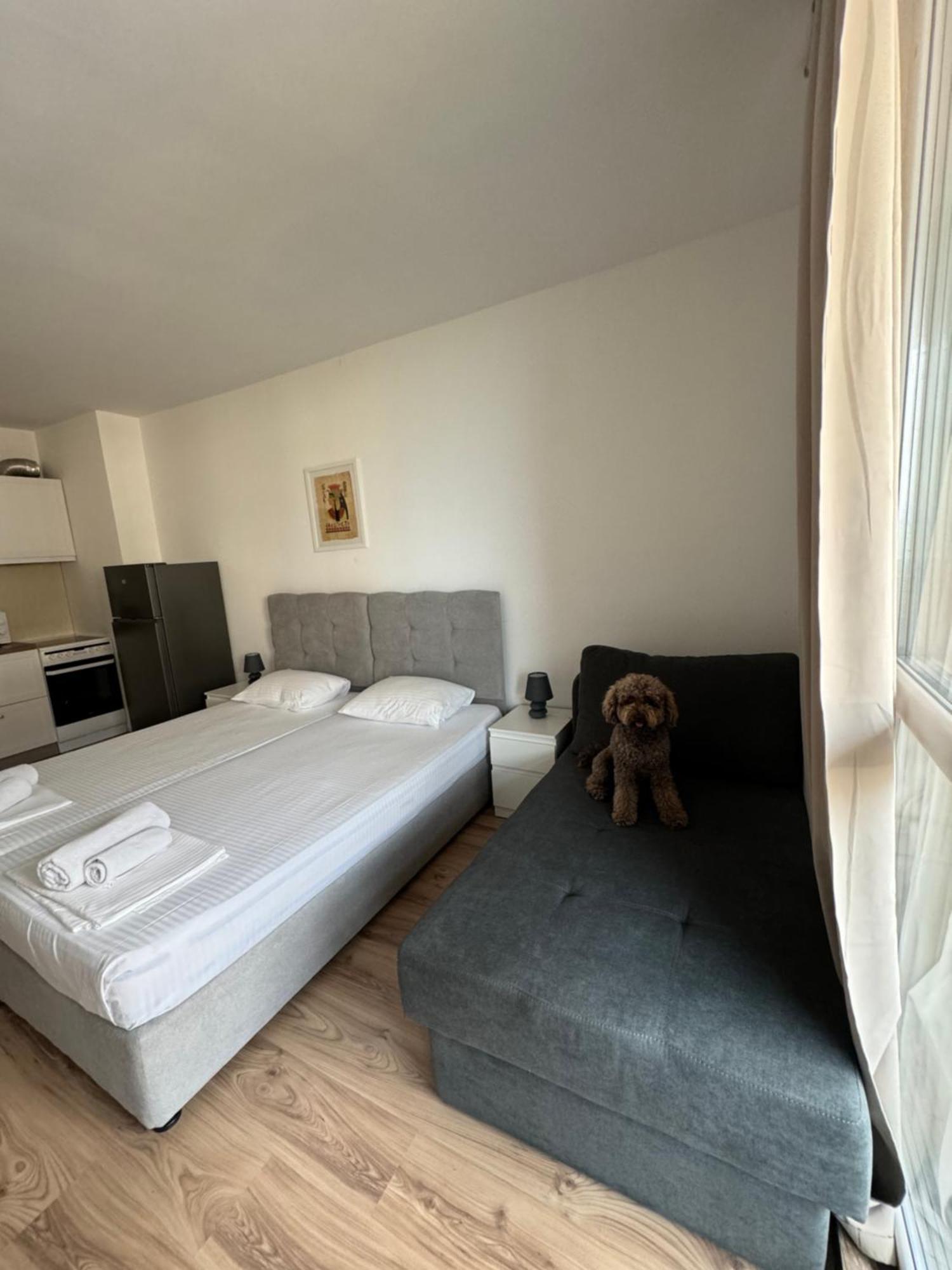 Апартаменти За Гости "Екатерина" Guest Apartments "Ekaterina" Burgas Extérieur photo